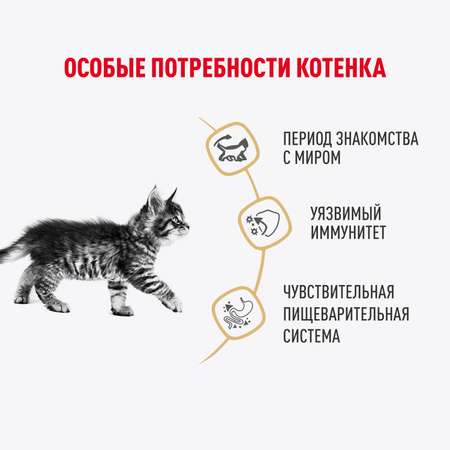 Влажный корм для кошек ROYAL CANIN кг (полнорационный)