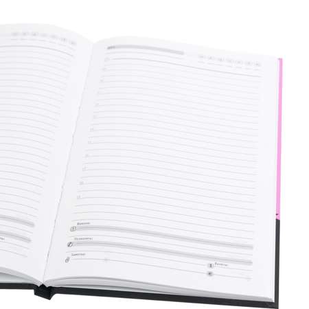 Ежедневник недатированный Collezione Наброски на черно-розовом А5 80 листов
