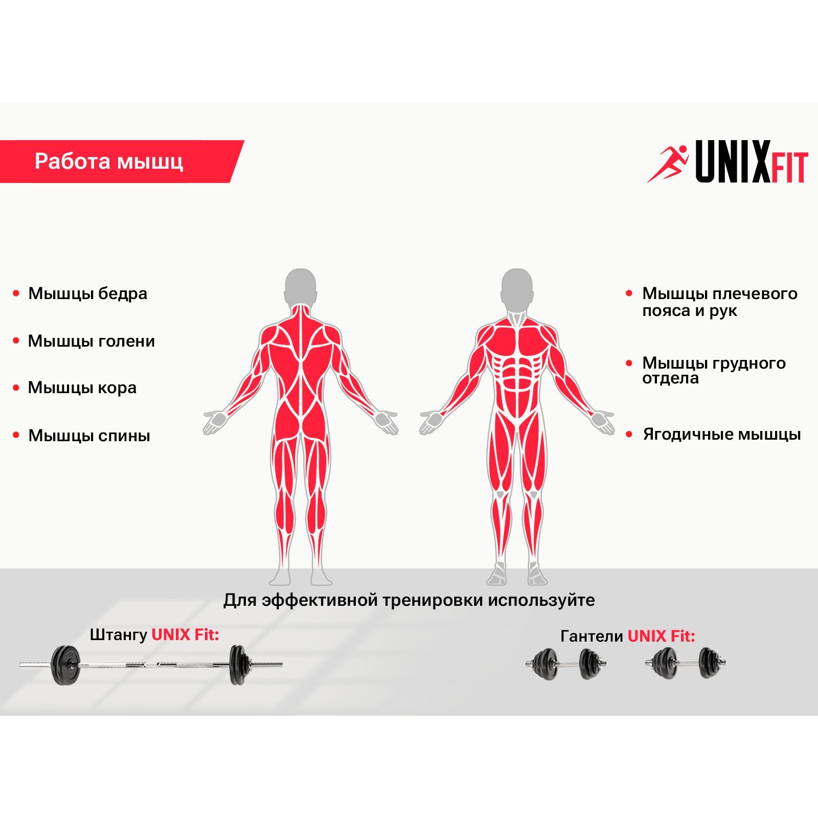 Скамья силовая UNIX Fit со стойками Bench 120 - фото 5