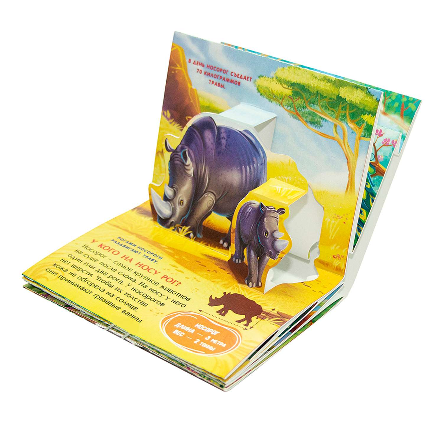 Набор книг Malamalama с фактами о животных и объемными картинками - фото 2