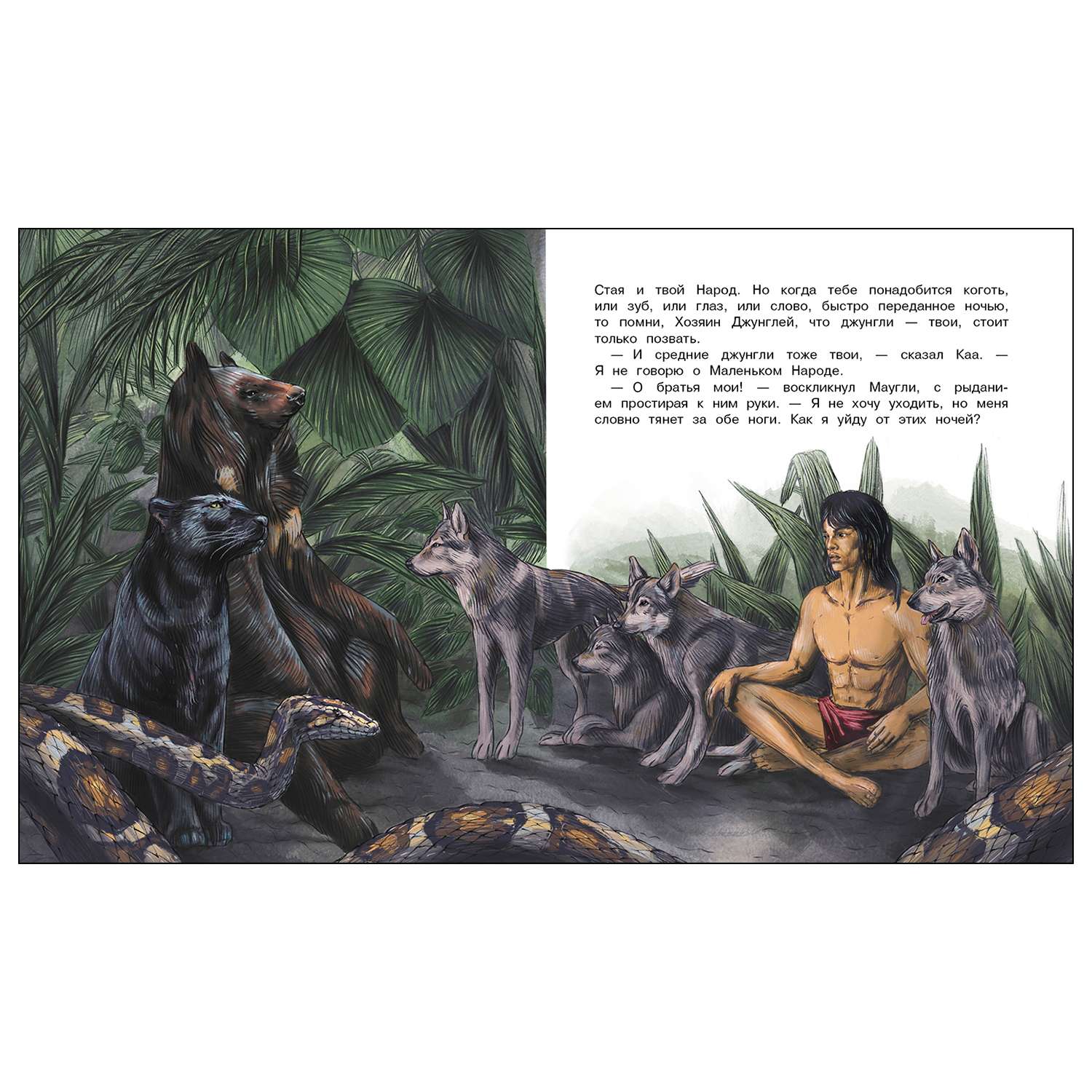 Книга СТРЕКОЗА Маугли - фото 5