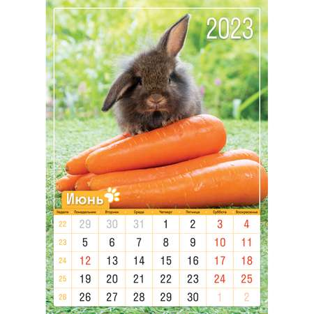 Календарь настенный перекидной ND PLAY Хороший год на 2023 год