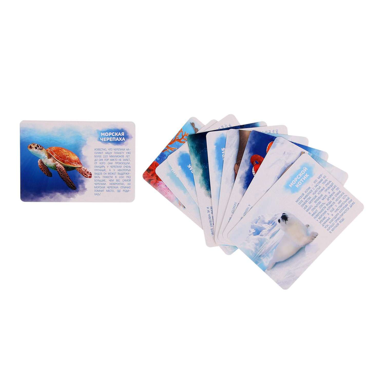 Набор фигурок IQ-ZABIAKA с обучающими карточками Подводный мир IQ-ZABIAKA 2519488 - фото 2