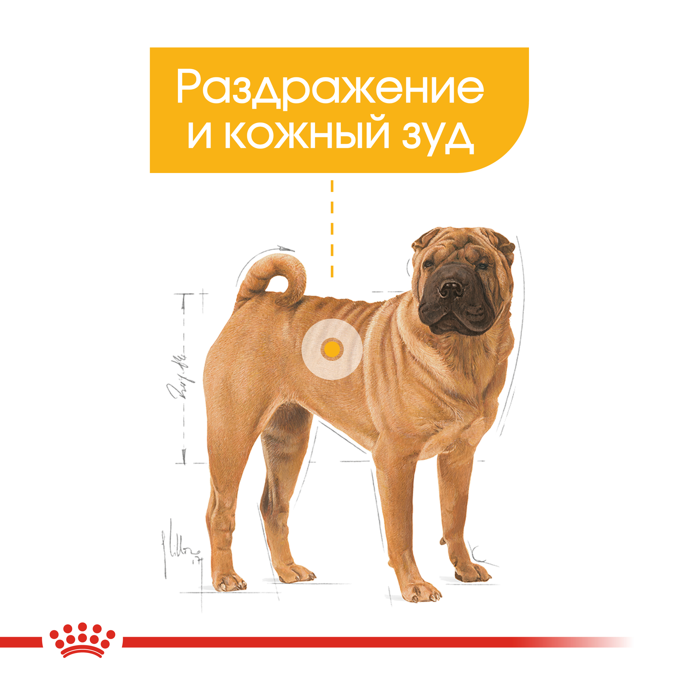 Сухой корм для собак ROYAL CANIN Dermacomfort 10 кг (лечебный) - фото 4