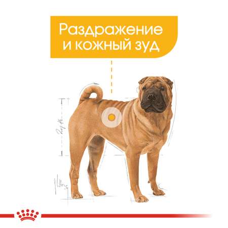 Корм для собак ROYAL CANIN Medium Dermacomfort средних пород склонных к кожным раздражениям и зуду 10кг