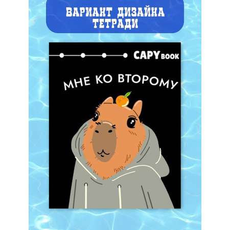 Набор школьных тетрадей CENTRUM Капибары в школе 48л клетка 5 шт