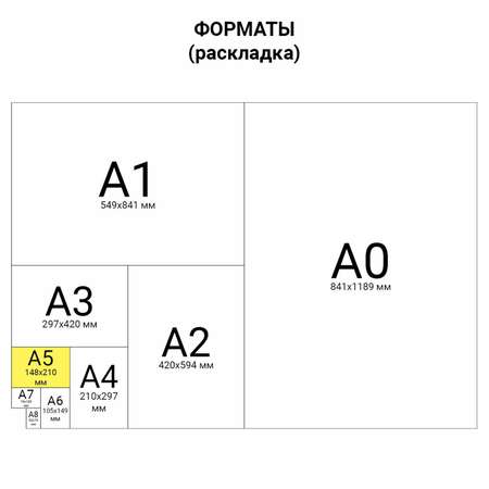 Сменный блок Brauberg для тетради на кольцах А5 120 листов