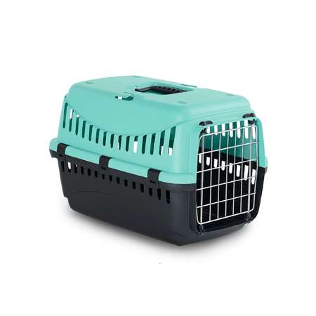 Переноска для животных ХL Lilli Pet Вasis line 58х38х38 см мятная