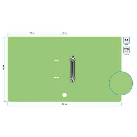 Папка на кольцах Бюрократ 2шт колец D-образные A4 32мм корешок пластик 0.7мм зеленый турмалин