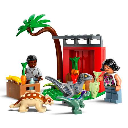 Конструктор детский LEGO Jurassic World Центр 76963