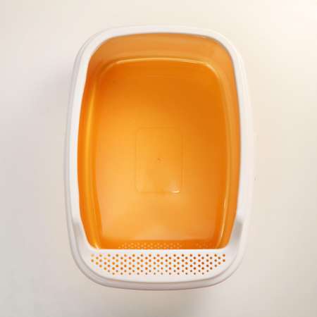 Туалет для животных Пижон «Айша» с бортом 53х39х21 см золотой перламутр