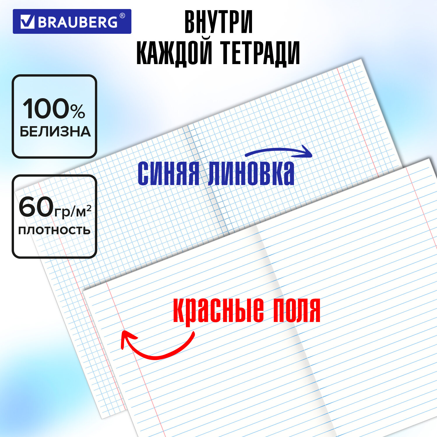 Тетради предметные Brauberg набор 48 листов в клетку и линейку 10 штук - фото 5