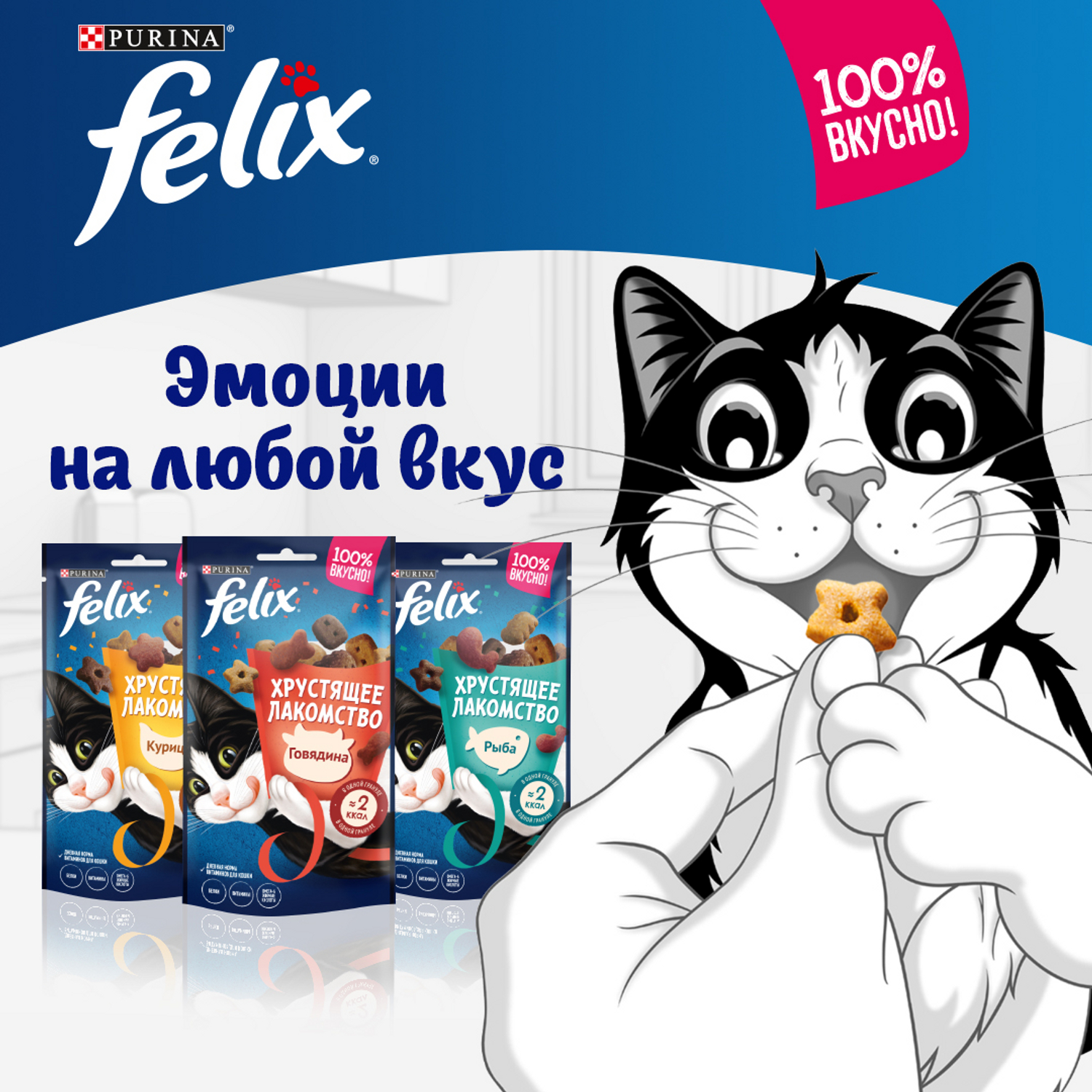 Лакомство для кошек Felix со вкусом молока сухое 60г - фото 4