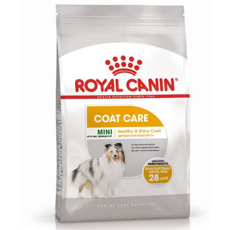 Сухой корм для собак ROYAL CANIN 3 кг (для домашних, для вывода шерсти, полнорационный)