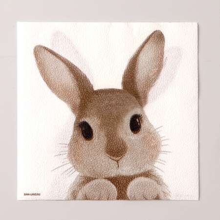 Салфетки Страна карнавалия бумажные однослойные «Кролик» 33 х 33 см набор 20 штук