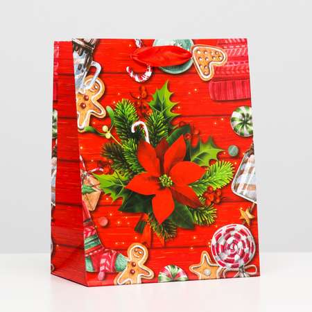 Пакет Sima-Land ламинированный «Рождественские угощения» 18×23×10