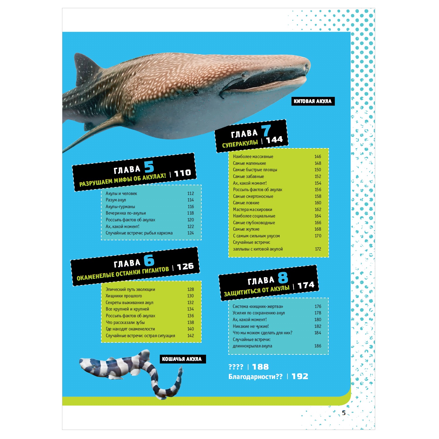 Энциклопедия АСТ Невероятные акулы 5000 удивительных фактов - фото 3