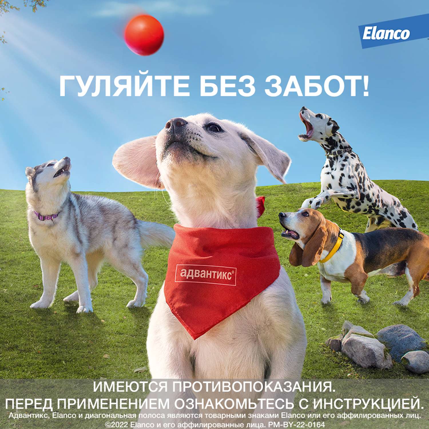 Препарат инсектоакарицидный для собак Elanco Адвантикс 2.5мл 4пипетки - фото 10
