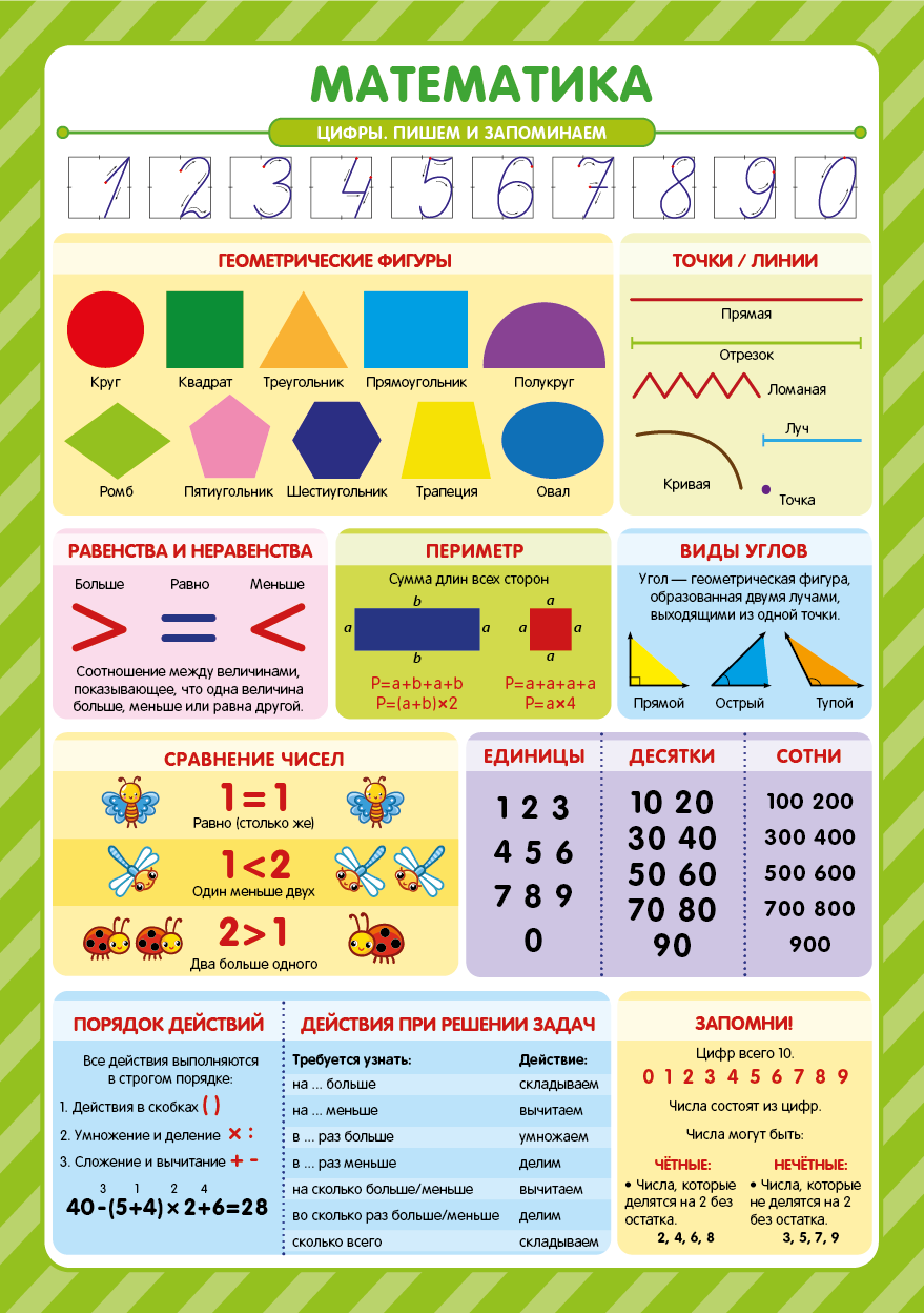 Обучающие плакаты для детей Malamalama Знания для школьников 1-2 класс - фото 6