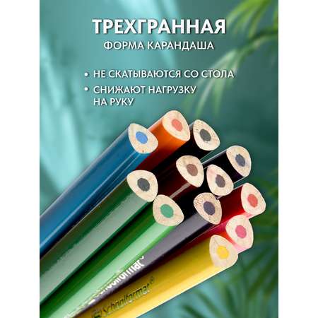 Карандаши SCHOOLFORMAT Дикая планета 24 цвета трехгранные