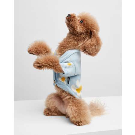 Вязанная одежда для собак: комбинезоны, свитера, платья, костюмы, кофты