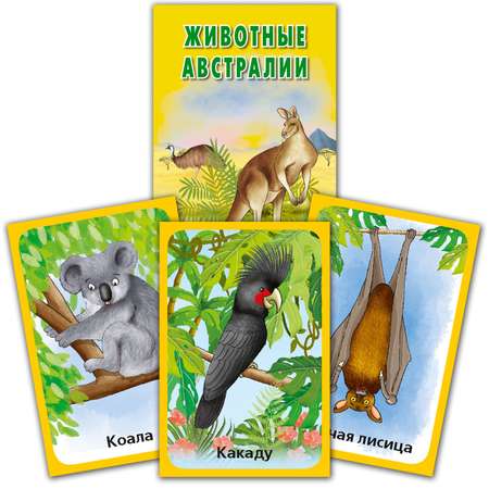 Набор карточек развивающих РУЗ Ко Животные Африки и Австралии