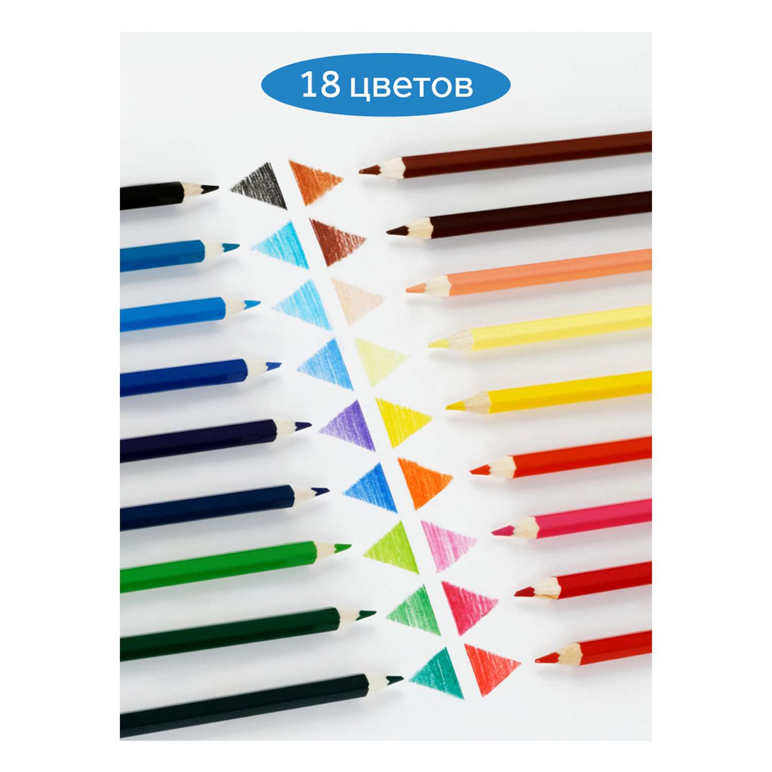 Карандаши цветные Гамма Классические 18 цветов заточенные картонная упаковка европодвес - фото 3