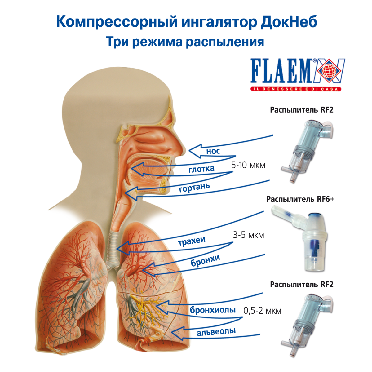 Ингалятор FLAEM NUOVA Компрессорный трёхрежимный ДокНеб Италия - фото 3