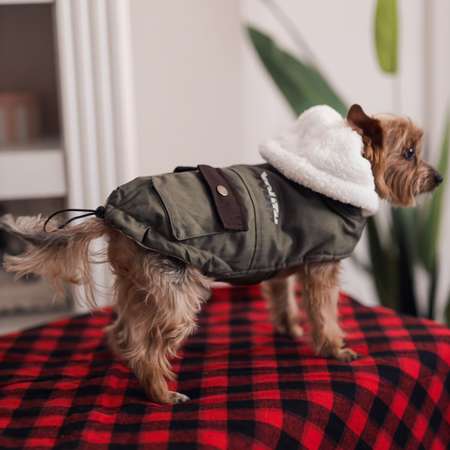 Куртка для собак Не один дома