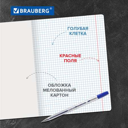 Тетрадь Brauberg клетка 18 лист. 20 шт.
