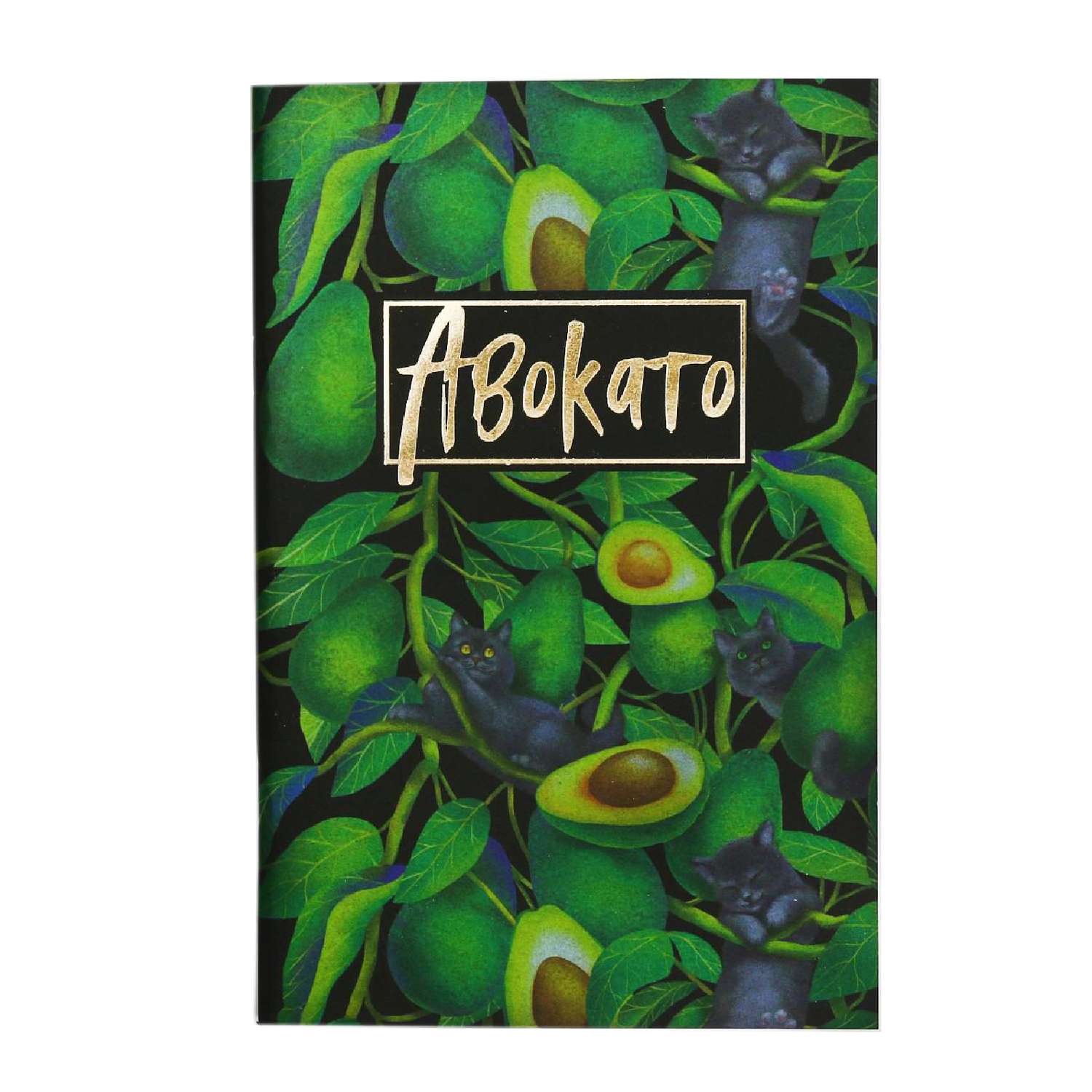 Тетрадь ArtFox с черными листами 15 листов «Авокато» - фото 1