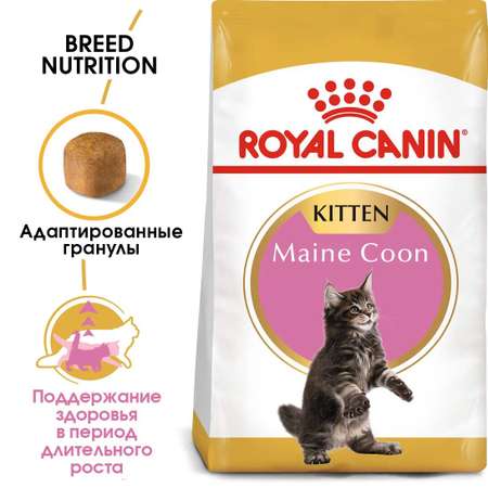 Корм для котят Royal Canin 2кг Maine Coon Kitten породы мейн-кун