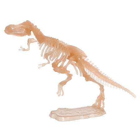 3D-пазл Sima-Land «Тираннозавр» кристаллический 12 деталей