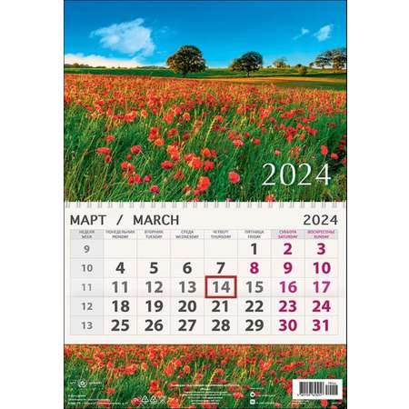 Календарь Арт и Дизайн одноблочный перекидной Маки 295х210 мм на 2024 год