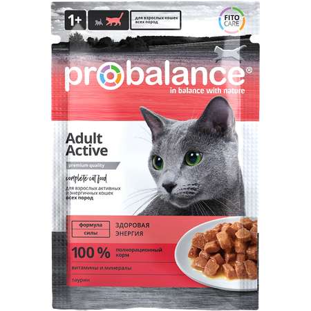 Корм консервированный ProBalance Active для активных кошек 85 г