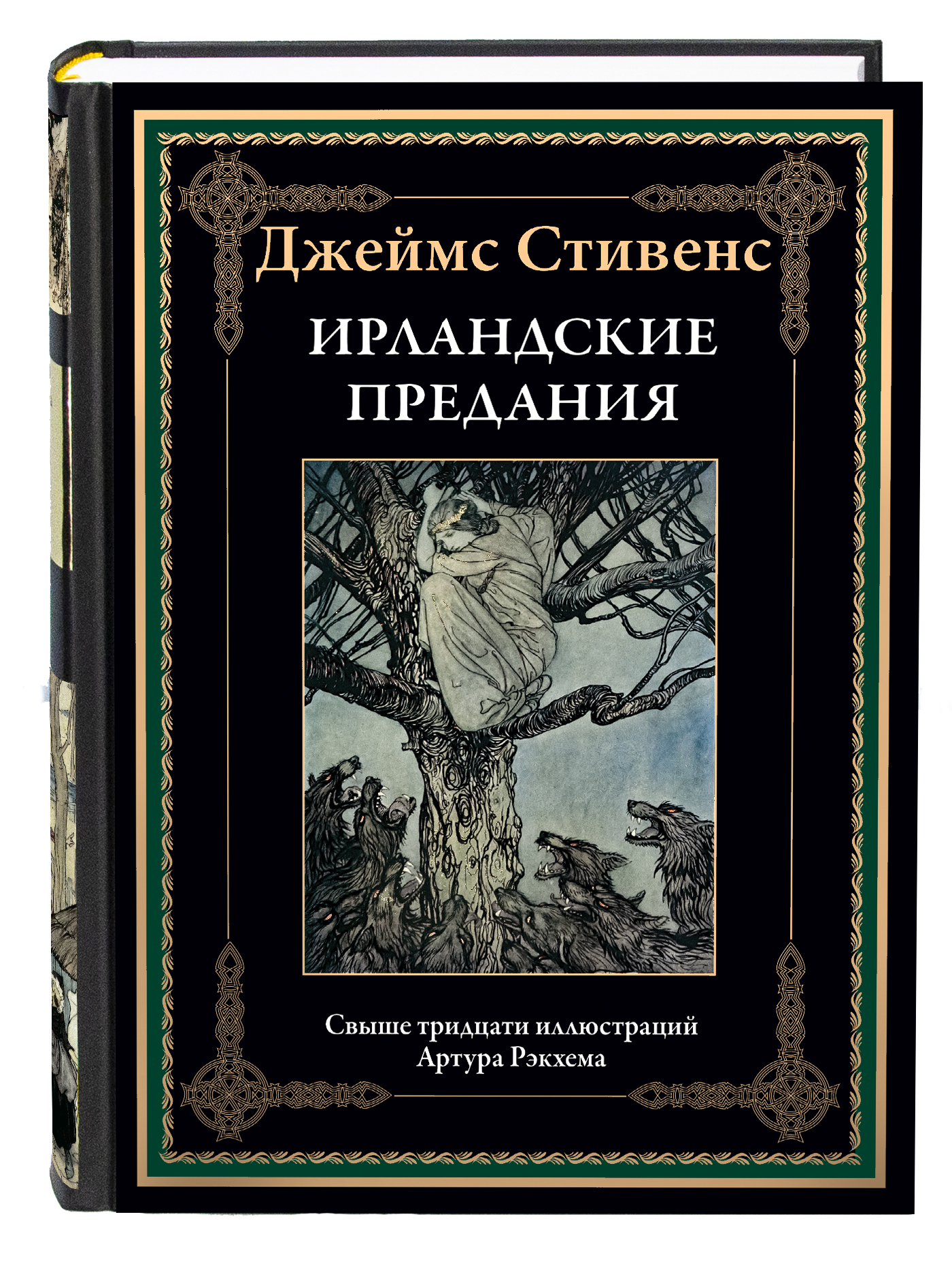 Книга СЗКЭО БМЛ Стивенс Ирландские предания - фото 1