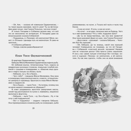 Книга Махаон Тройка с минусом или Происшествие в 5 "А" Пивоварова И