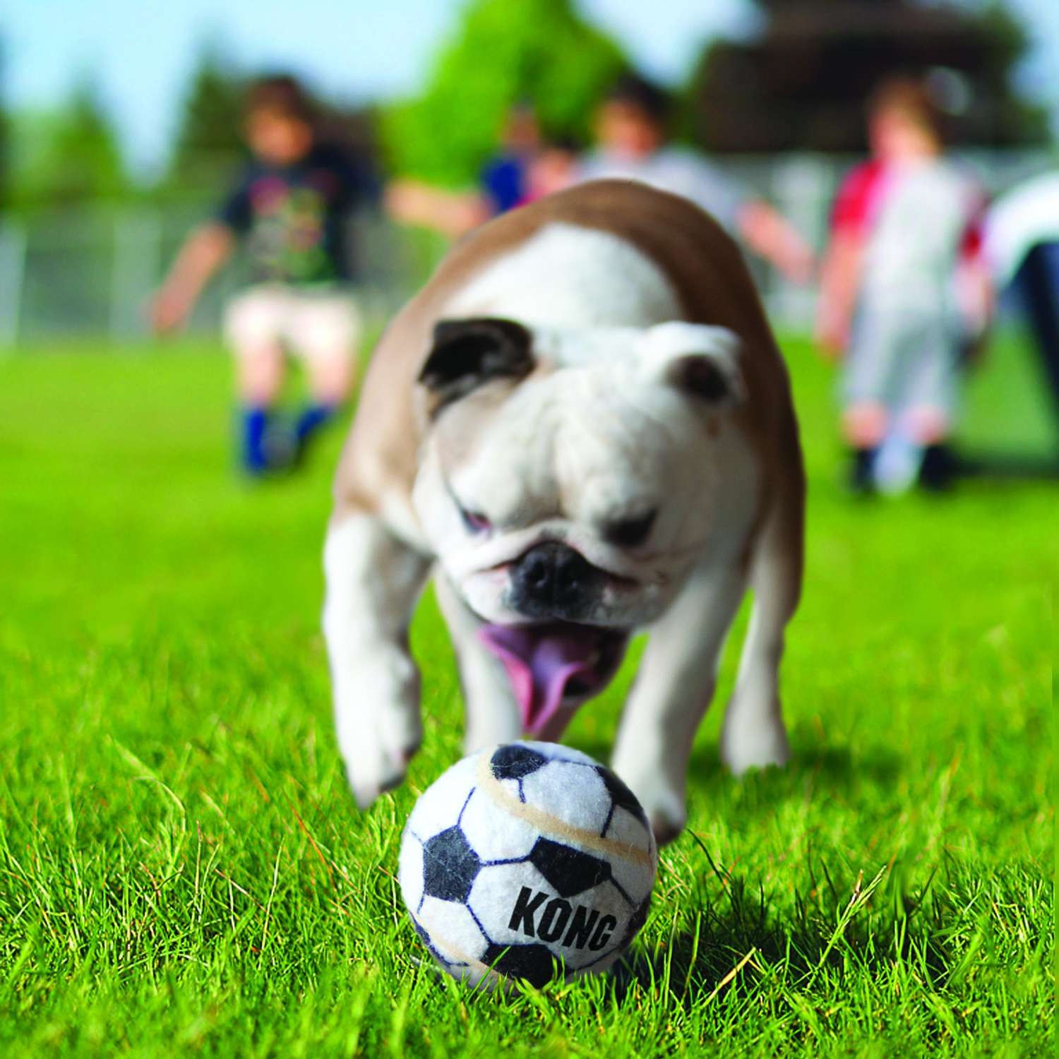 Игрушка для собак KONG Air Sport Мяч теннисный очень маленький ABS5E - фото 4