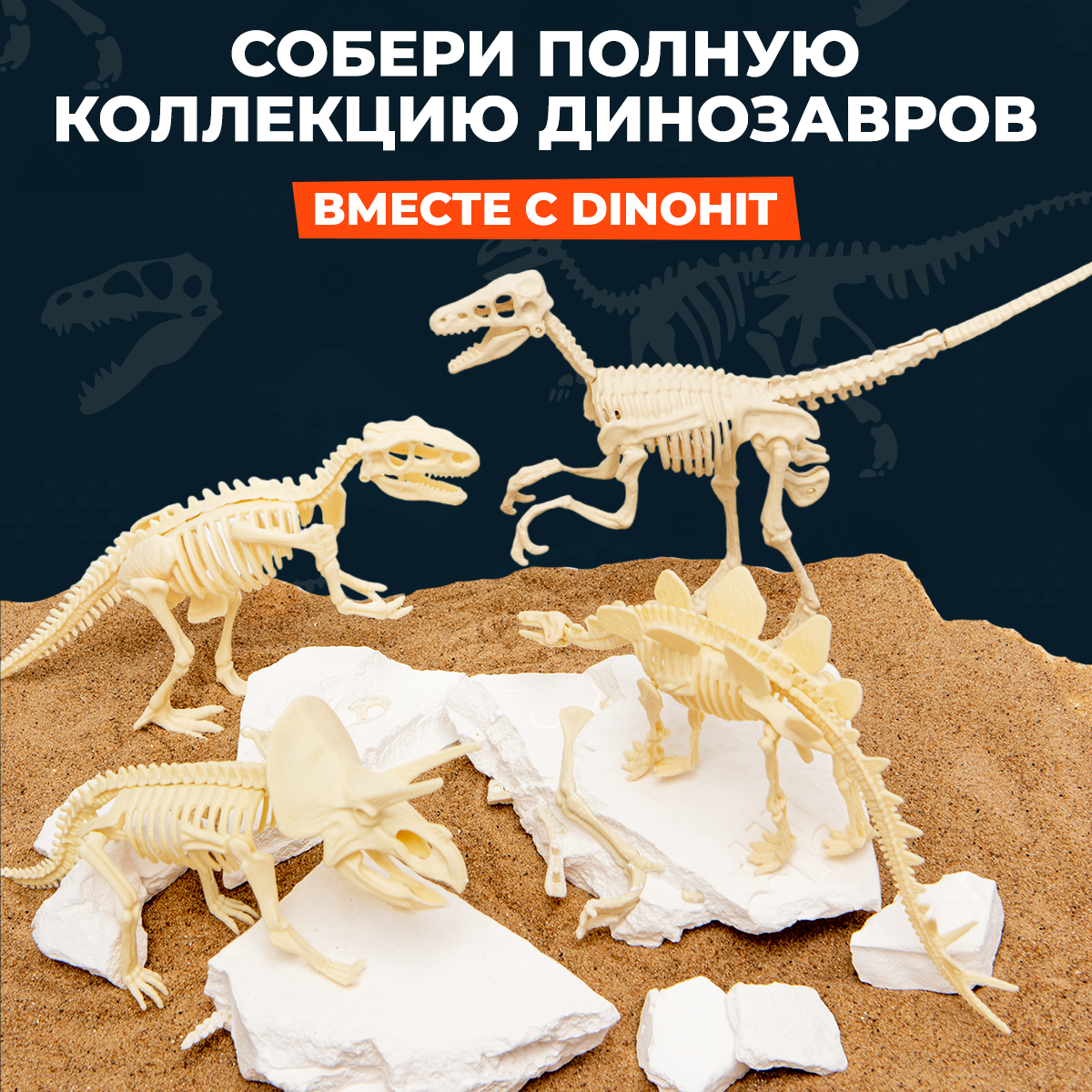 Раскопки DINOHIT Тираннозавра - фото 10