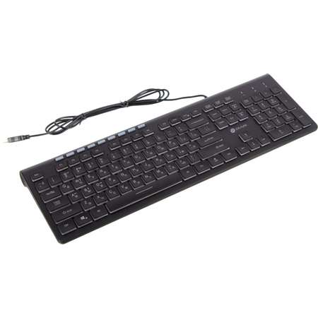 Клавиатура OKLICK 490ML USB черный