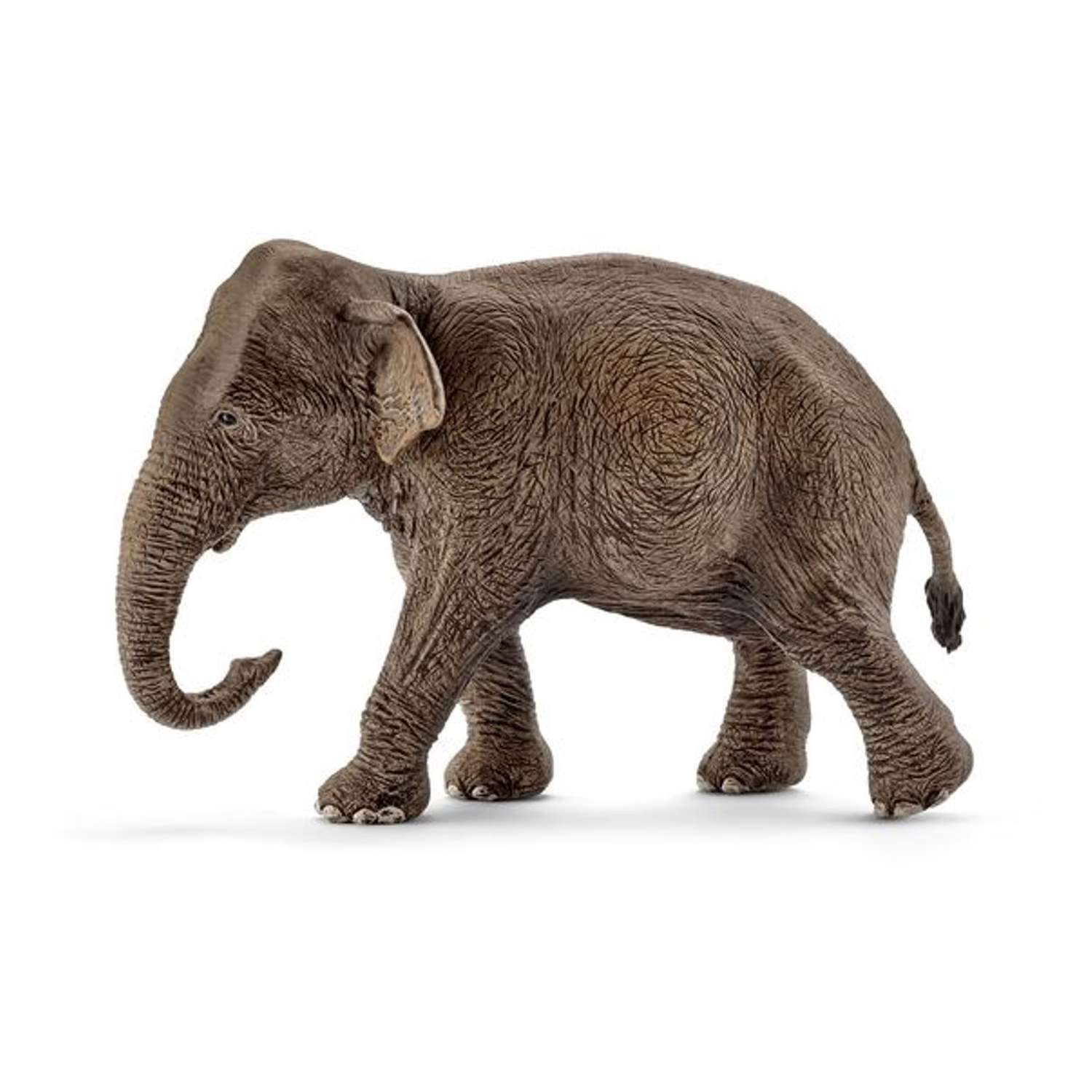 Фигурка SCHLEICH Азиатский слон самка 14753 - фото 1