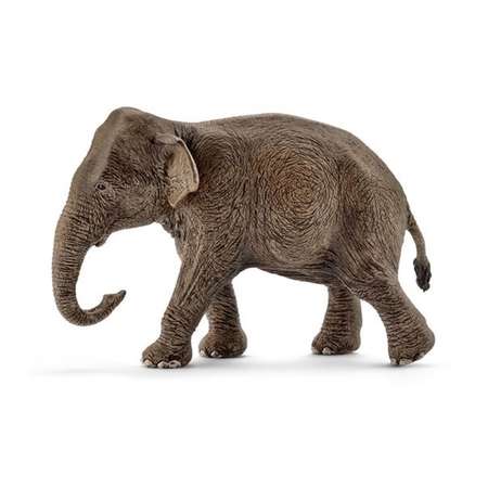Фигурка SCHLEICH Азиатский слон самка 14753