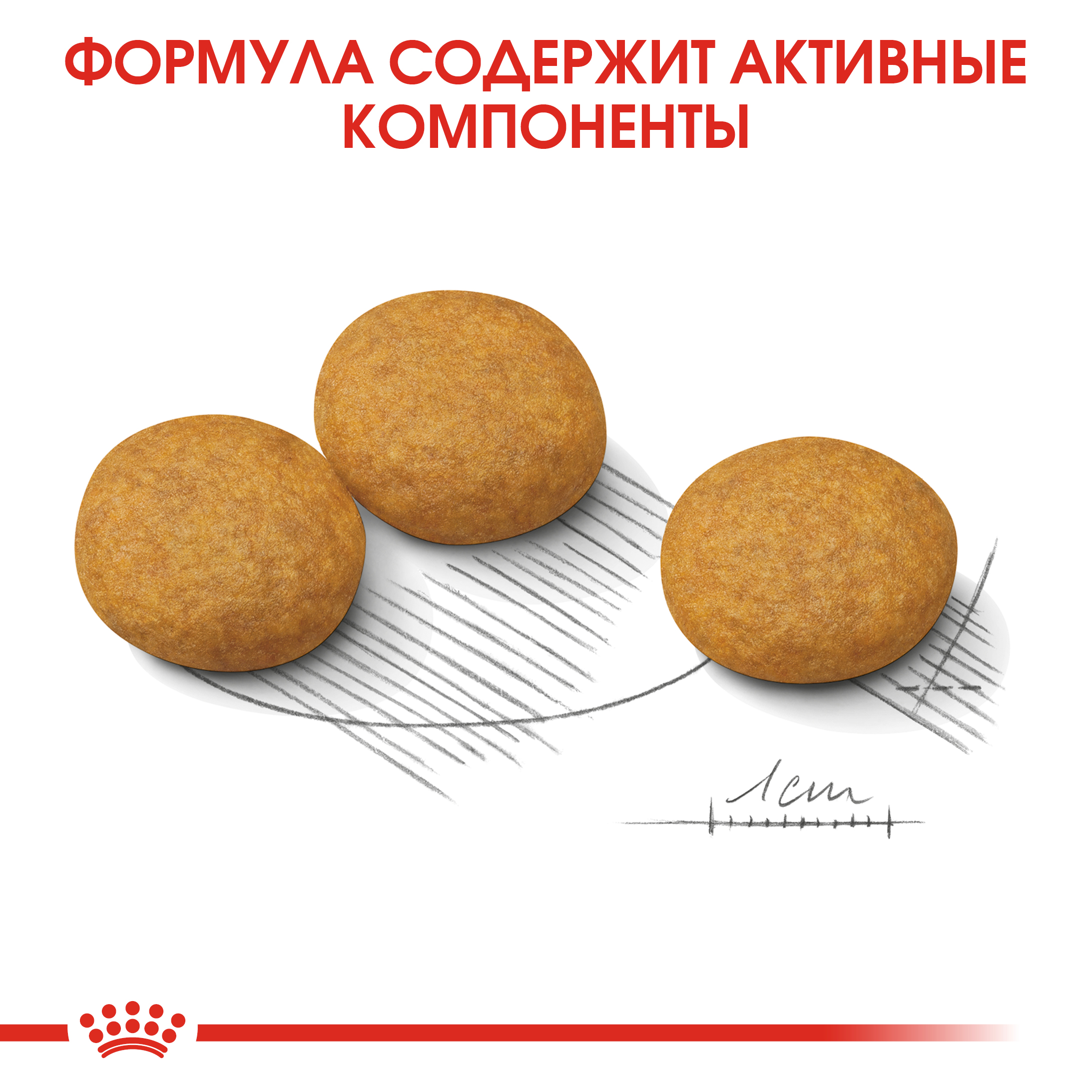 Сухой корм для собак ROYAL CANIN Dermacomfort 10 кг (лечебный) - фото 6