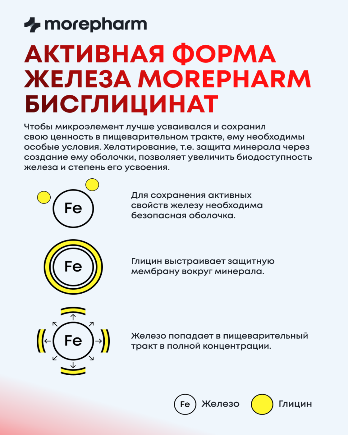 Бад morepharm Витамины Железо хелат 40мг 90 капсул - фото 8