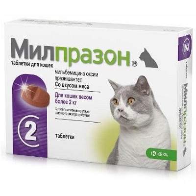 Препараты от глистов и паразитов для кошек