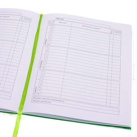 Дневник школьный Prof-Press Avocato 48 листов ПВХ 1-11 класс