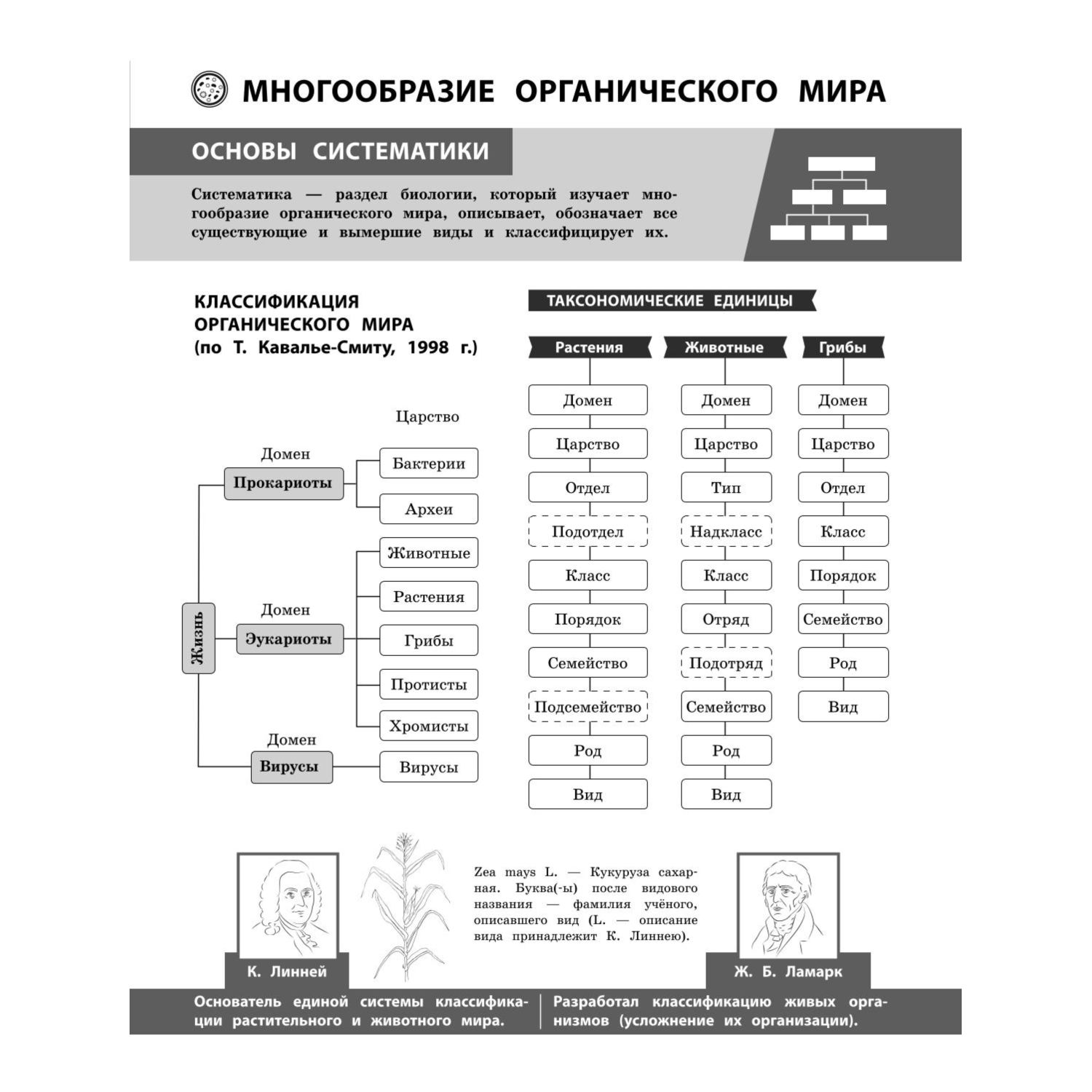 Книга Эксмо Биология в инфографике - фото 4