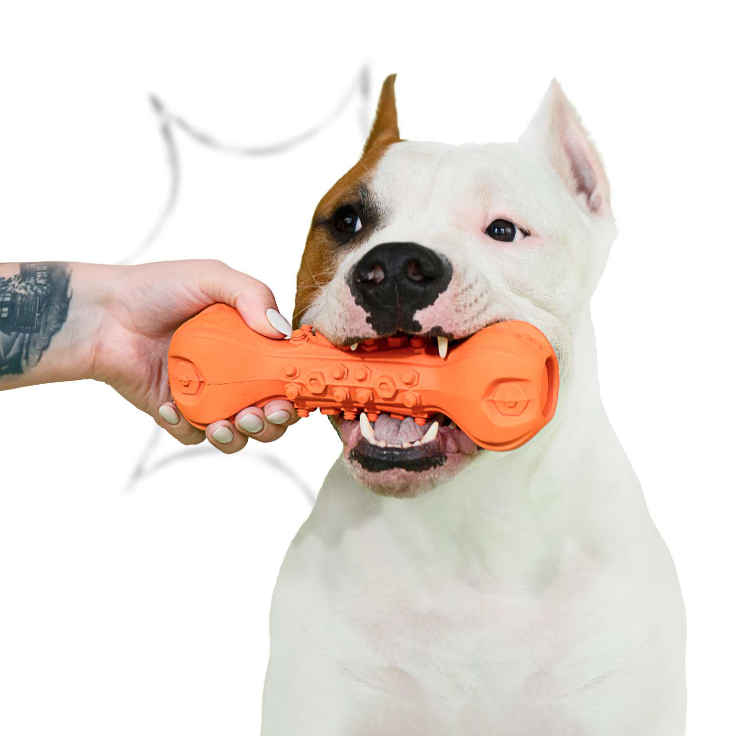 Игрушка для собак Mr.Kranch Гантель дентальная с ароматом бекона 22см Оранжевая - фото 4