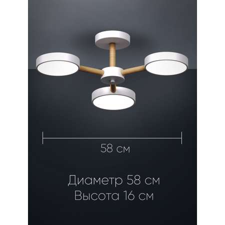 Светодиодный светильник Wedo Light потолочный 60W белый LED