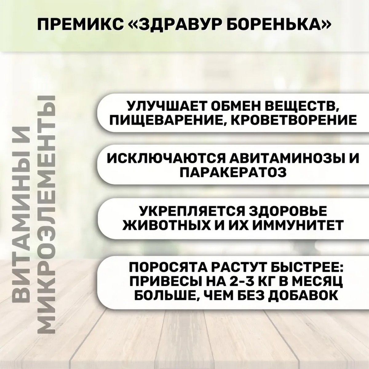 Премикс для поросят Ваше Хозяйство здравур для поросят Боренька 600г - фото 3